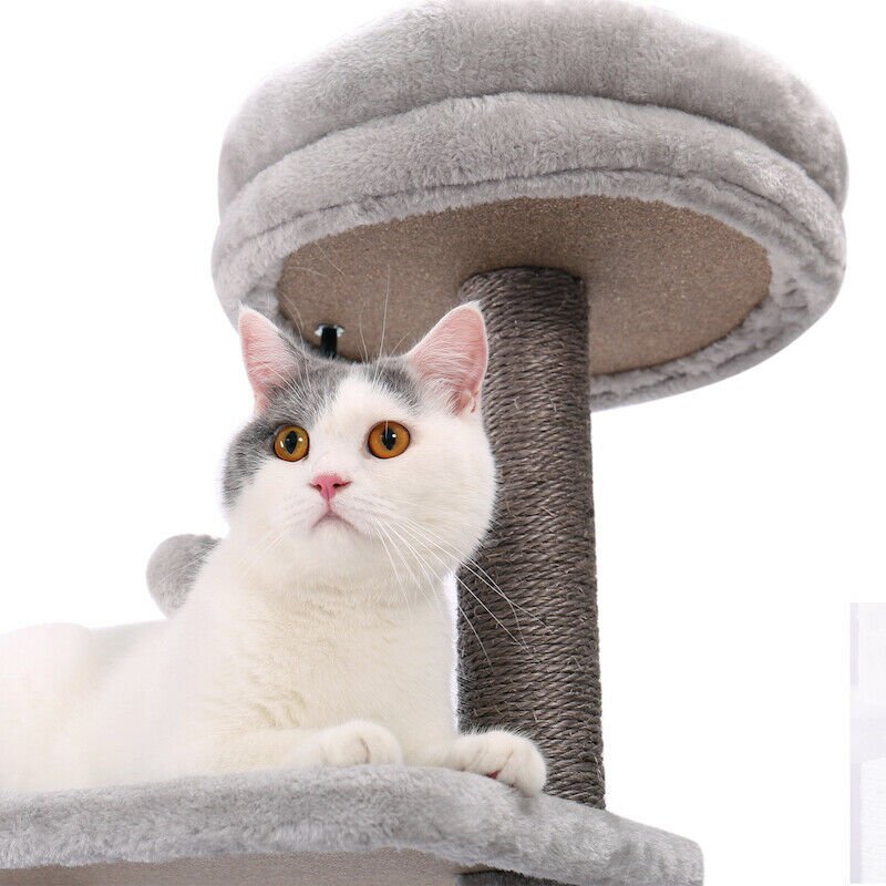The Modern Tower House Cats Condo-4