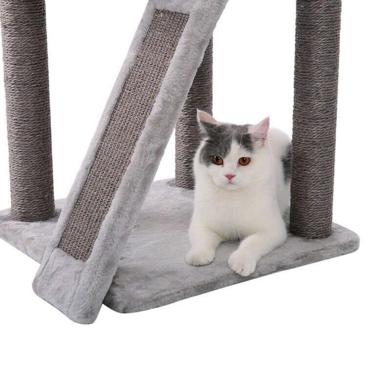The Modern Tower House Cats Condo-3