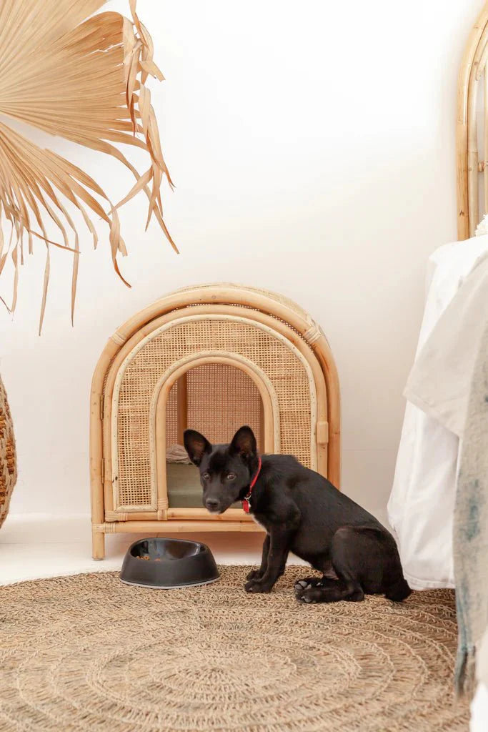 Felix Rattan Pet Bed-2