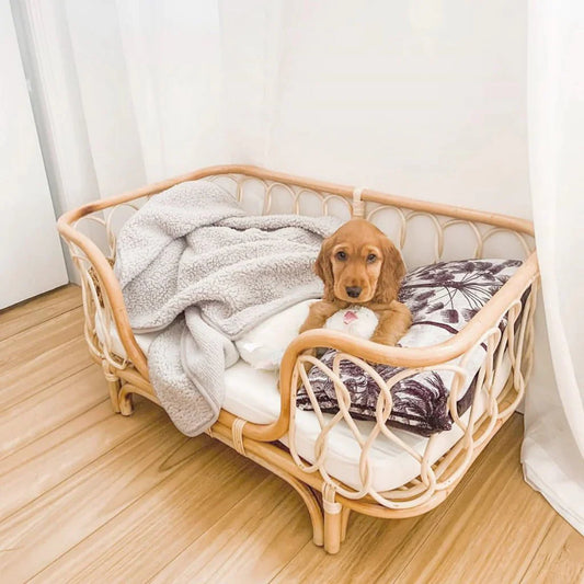 Molly Rattan Dog Bed (2 Sizes)